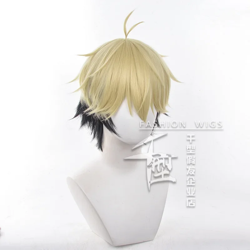 Anime Link Click FELIX parrucc - Anime Cosplay Link recensione e prezzo