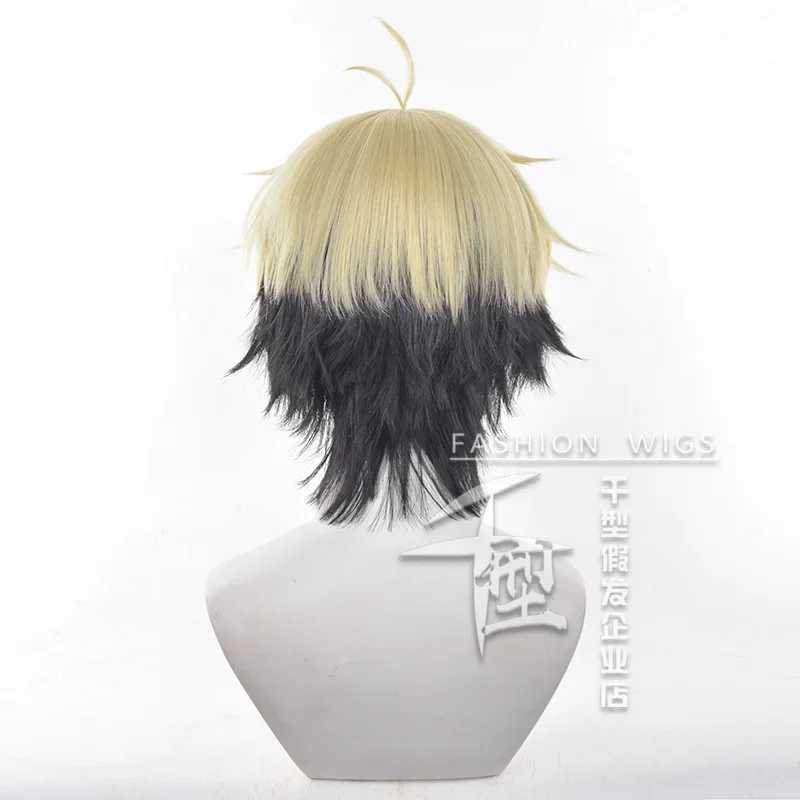 Anime Link Click FELIX parrucc - Anime Cosplay Link recensione e prezzo